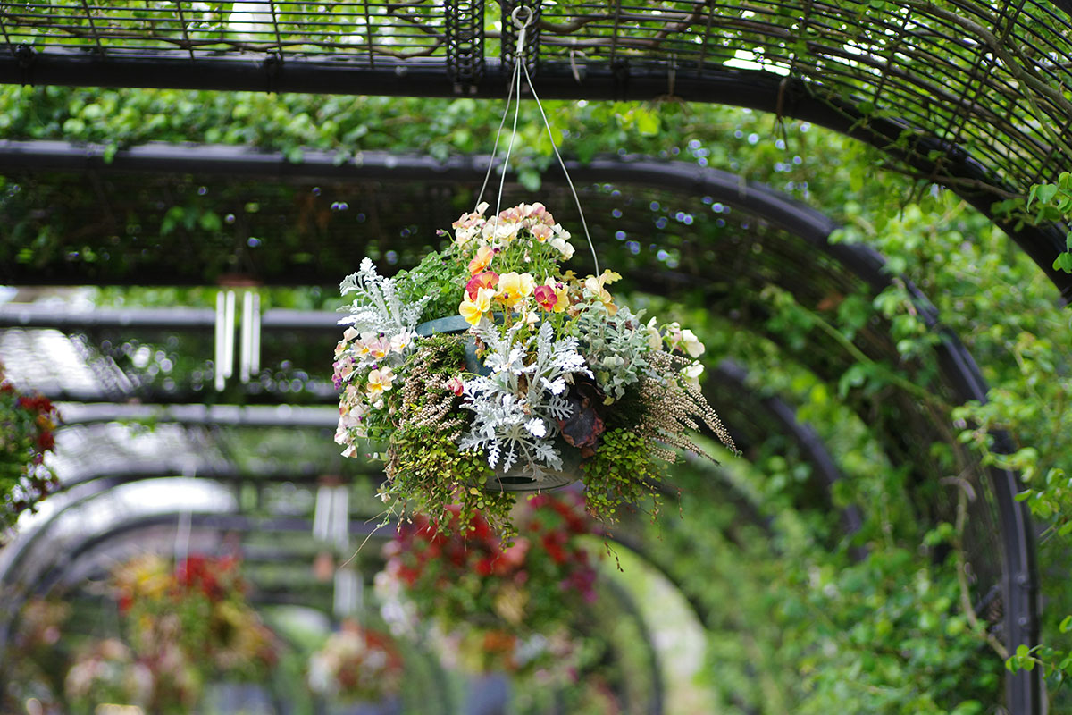 Arreglo floral colgante con flores variadas en un túnel vegetal decorado para un evento al aire libre