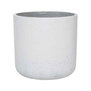 Charlie XXS, White Washed