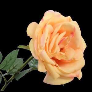 ROSE STEM YELLOW 38 cm